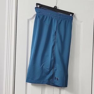 UA Men's Mesh Shorts